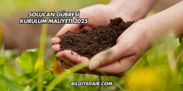 Solucan Gübresi Kurulum Maliyeti 2025