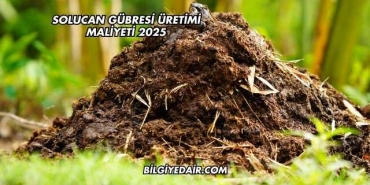 Solucan Gübresi Üretimi Maliyeti 2025