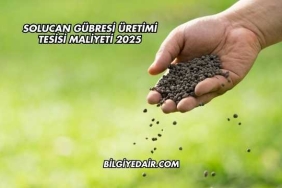 Solucan Gübresi Üretimi Tesisi Maliyeti 2025