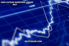 Tab Gıda Katılım Endeksine Uygun mu?