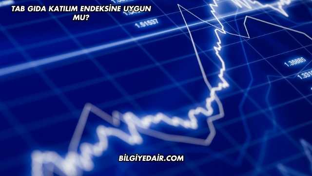 Tab Gıda Katılım Endeksine Uygun mu?