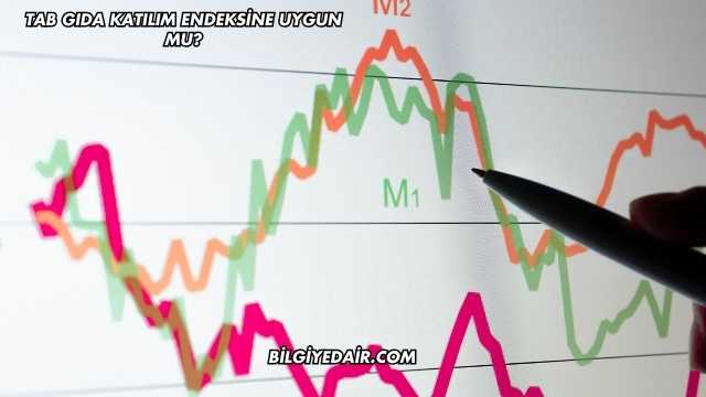 Tab Gıda Katılım Endeksine Uygun mu?