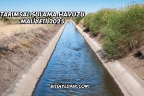 Tarımsal Sulama Havuzu Maliyeti 2025