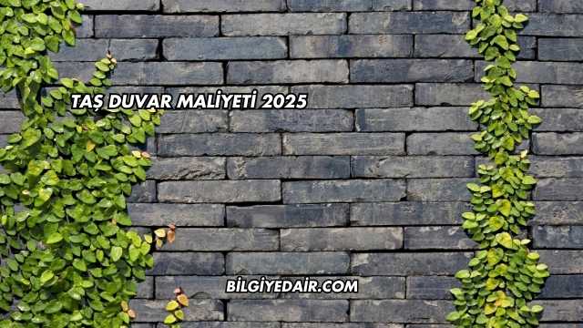 Taş Duvar Maliyeti 2025