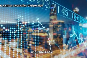 Taten Katılım Endeksine Uygun mu?