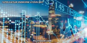 Taten Katılım Endeksine Uygun mu?