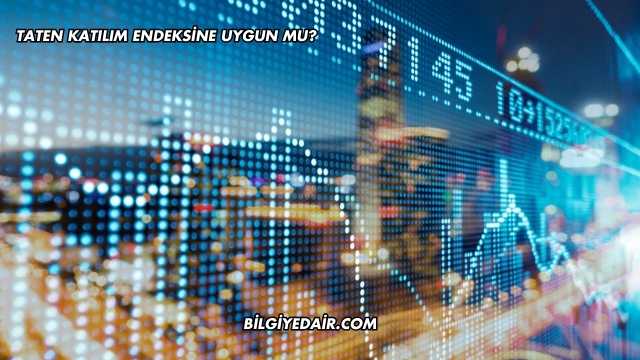 Taten Katılım Endeksine Uygun mu?