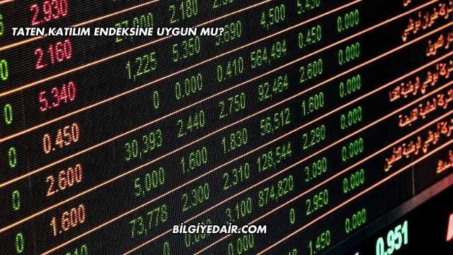 Taten Katılım Endeksine Uygun mu?
