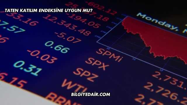Taten Katılım Endeksine Uygun mu?