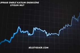 Tatlıpınar Enerji Katılım Endeksine Uygun mu?