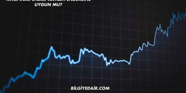 Tatlıpınar Enerji Katılım Endeksine Uygun mu?