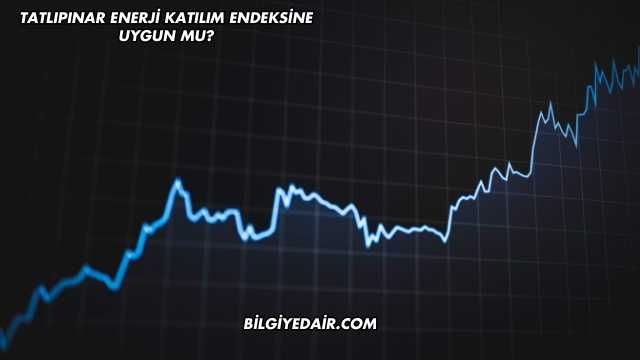 Tatlıpınar Enerji Katılım Endeksine Uygun mu?