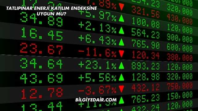 Tatlıpınar Enerji Katılım Endeksine Uygun mu?
