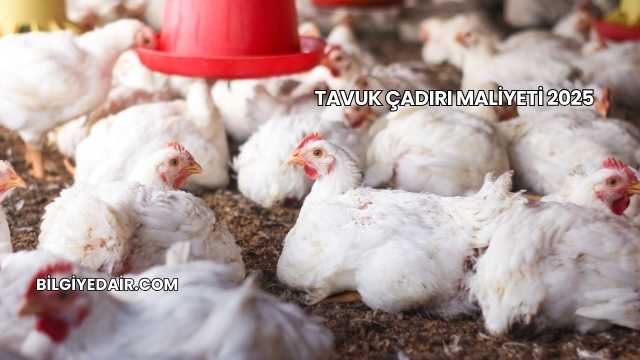 Tavuk Çadırı Maliyeti 2025