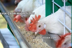 Tavuk Çadırı Maliyeti 2025