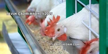 Tavuk Çadırı Maliyeti 2025