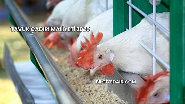 Tavuk Çadırı Maliyeti 2025