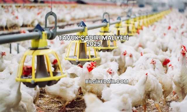 Tavuk Çadırı Maliyeti 2025