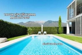 Tavuk Çiftliği Kurma Maliyeti 2025