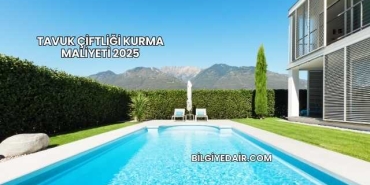 Tavuk Çiftliği Kurma Maliyeti 2025
