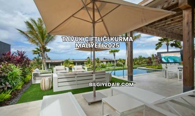 Tavuk Çiftliği Kurma Maliyeti 2025