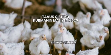 Tavuk Çiftliği Kurmanın Maliyeti 2025