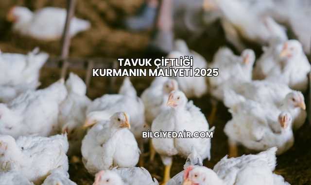 Tavuk Çiftliği Kurmanın Maliyeti 2025