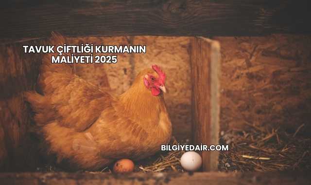 Tavuk Çiftliği Kurmanın Maliyeti 2025