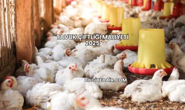 Tavuk Çiftliği Maliyeti 2025