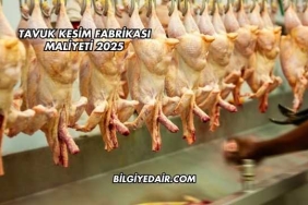 Tavuk Kesim Fabrikası Maliyeti 2025