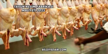 Tavuk Kesim Fabrikası Maliyeti 2025