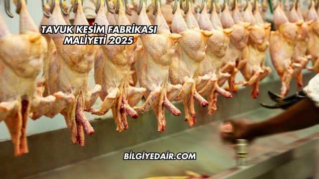 Tavuk Kesim Fabrikası Maliyeti 2025