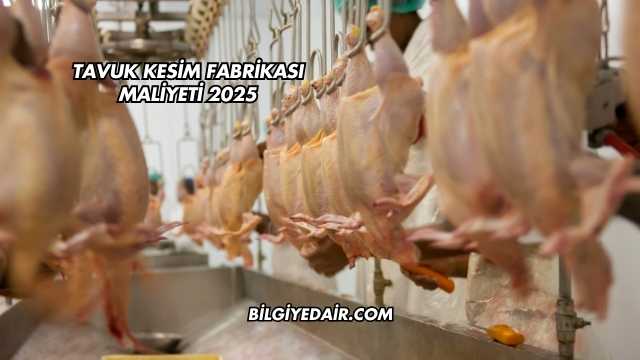 Tavuk Kesim Fabrikası Maliyeti 2025