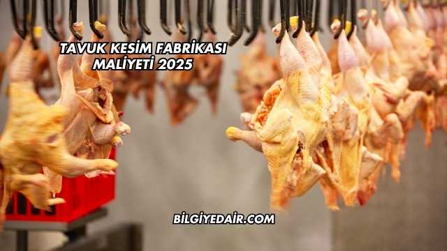 Tavuk Kesim Fabrikası Maliyeti 2025