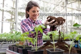 Topraklı Sera Maliyeti 2025