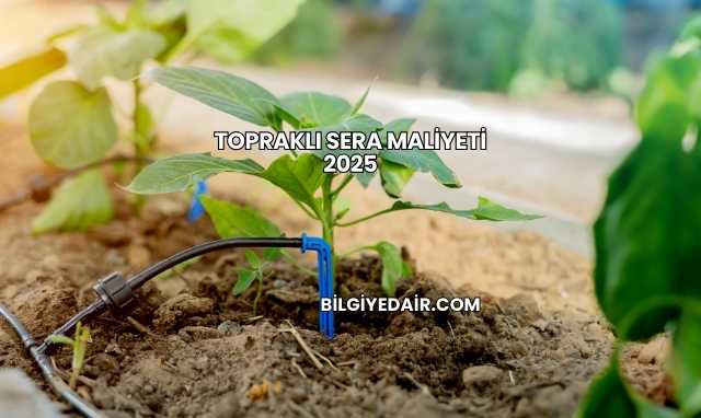 Topraklı Sera Maliyeti 2025