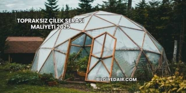 Topraksız Çilek Serası Maliyeti 2025