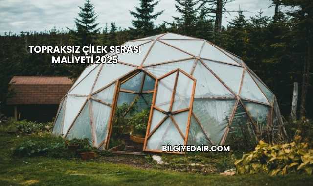 Topraksız Çilek Serası Maliyeti 2025