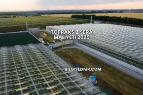 Topraksız Sera Maliyeti 2025