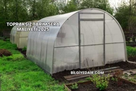 Topraksız Tarım Sera Maliyeti 2025