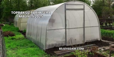 Topraksız Tarım Sera Maliyeti 2025