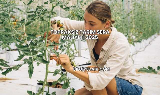 Topraksız Tarım Sera Maliyeti 2025