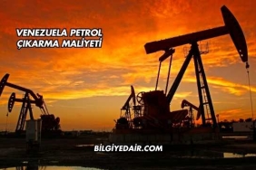 Venezuela Petrol Çıkarma Maliyeti
