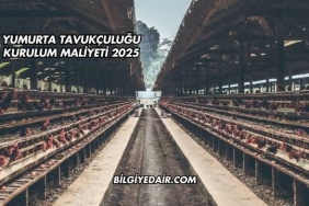 Yumurta Tavukçuluğu Kurulum Maliyeti 2025