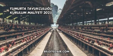 Yumurta Tavukçuluğu Kurulum Maliyeti 2025