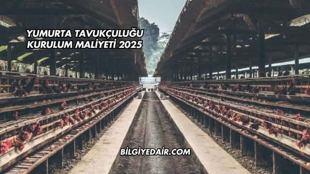 Yumurta Tavukçuluğu Kurulum Maliyeti 2025