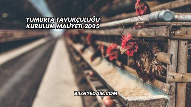 Yumurta Tavukçuluğu Kurulum Maliyeti 2025
