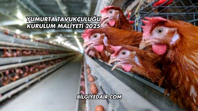 Yumurta Tavukçuluğu Kurulum Maliyeti 2025