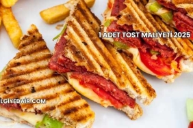 1 Adet Tost Maliyeti 2025
