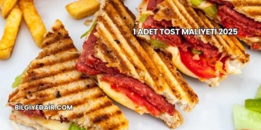 1 Adet Tost Maliyeti 2025